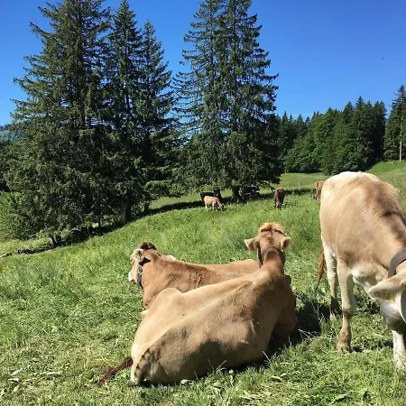 بيت للعطل Ferienhaus Nr 111, Typ A, Feriendorf Hochbergle, Allgau